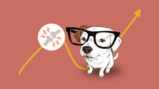 Gelenkprobleme Hund - Was, wenn wir seit Jahren auf die falschen Anzeichen achten?