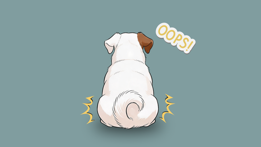 Übergewicht beim Hund: Wann ist mein Hund zu dick?