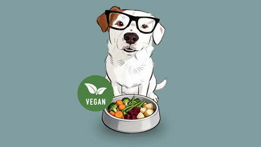 Hundemahlzeiten vegetarisch oder vegan selbst zusammenstellen? Geht!
