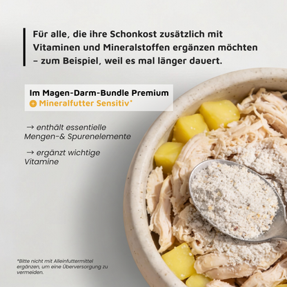 Unterwegs mit Hund ·  Magen-Darm-Bundle Premium