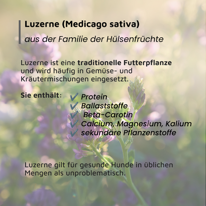BALD VERFÜGBAR: OLEWO Kartoffel - Karotte - Luzerne