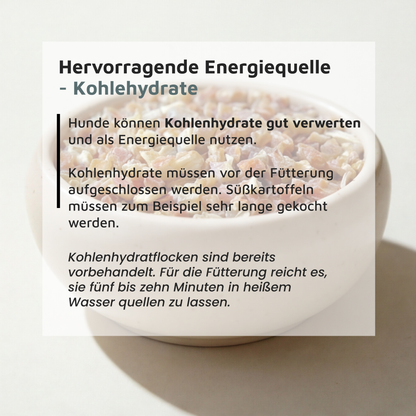 Süßkartoffelflocken - Gut verdauliche Kohlenhydratquelle