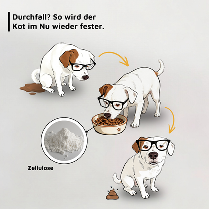 Unterwegs mit Hund · Magen-Darm-Bundle Basis