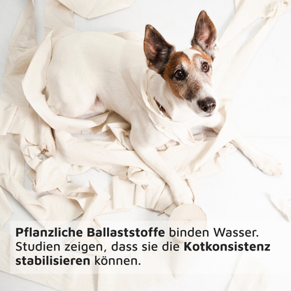 BALD VERFÜGBAR: OLEWO Karotten-Rote Bete-Pellets – 60% Karotte, 40% Rote Bete