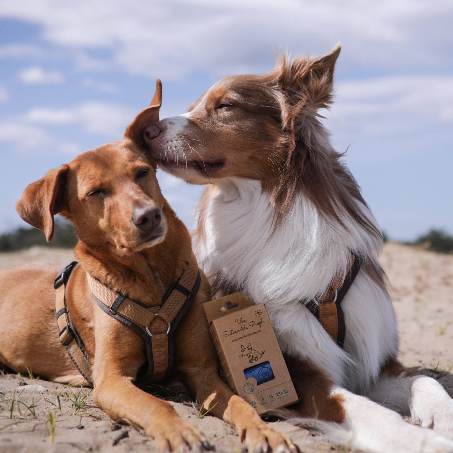 Recycling-Hundekotbeutel, Blauer Engel zertifiziert