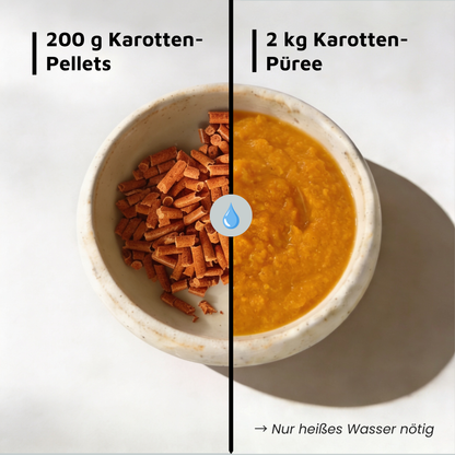 Unterwegs mit Hund · Magen-Darm-Bundle Basis
