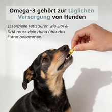Algenölkapseln – Veganes Omega-3 in Kapselform