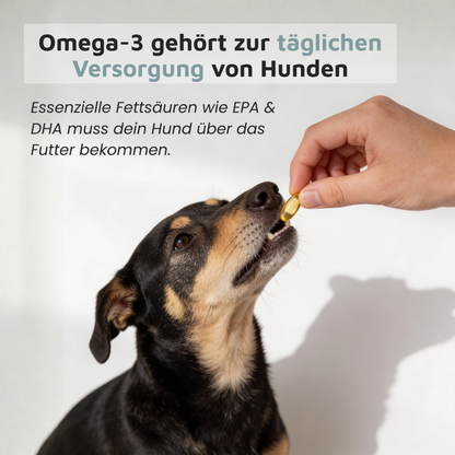 Algenölkapseln – Veganes Omega-3 in Kapselform