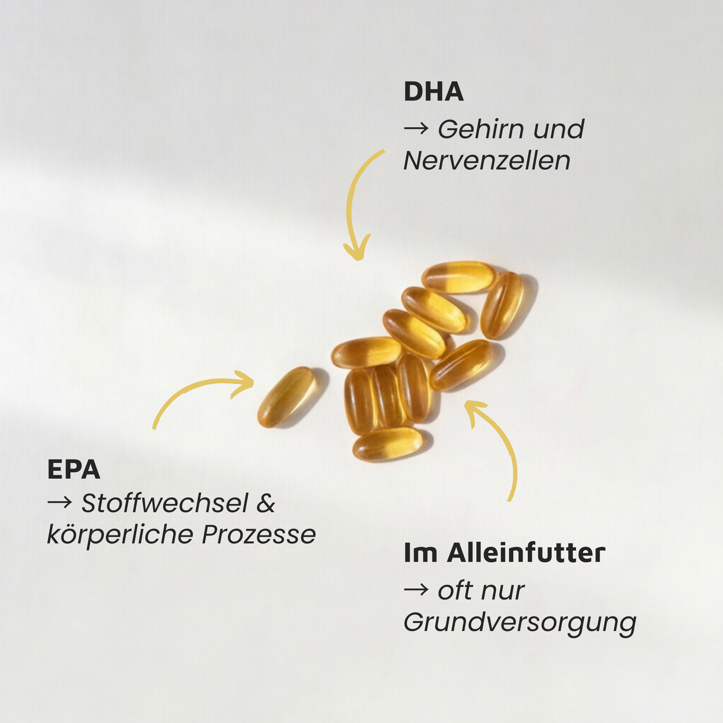 Algenölkapseln – Veganes Omega-3 in Kapselform
