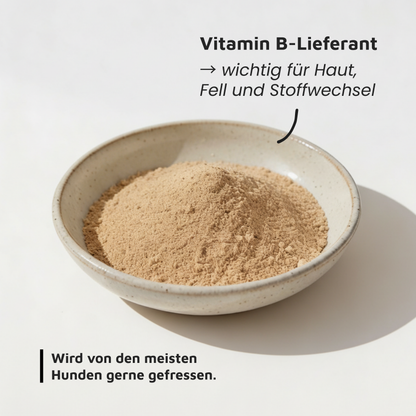 Bierhefe - natürliche Vitamin-B-Quelle