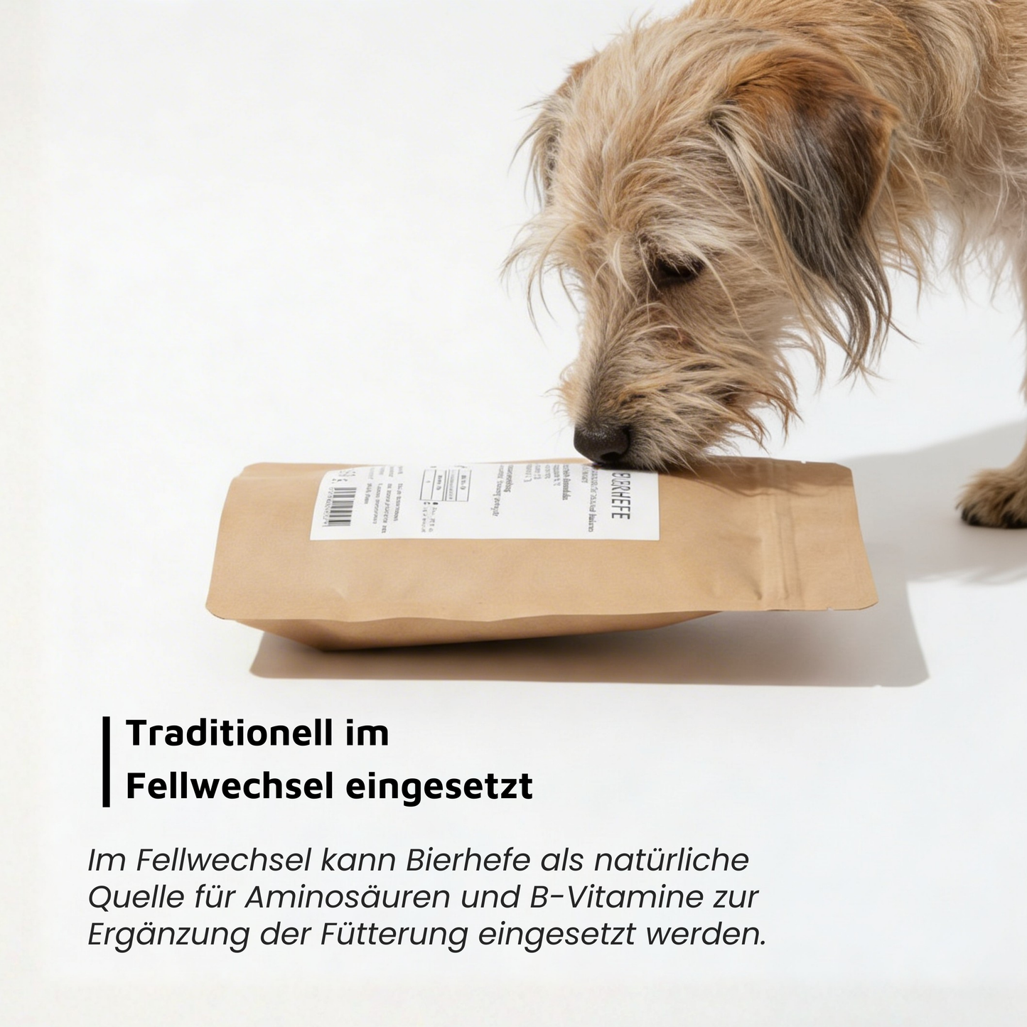 Bierhefe - natürliche Vitamin-B-Quelle