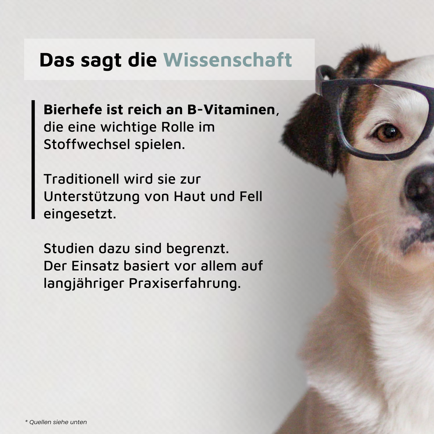 Bierhefe - natürliche Vitamin-B-Quelle