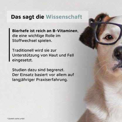 Bierhefe - natürliche Vitamin-B-Quelle