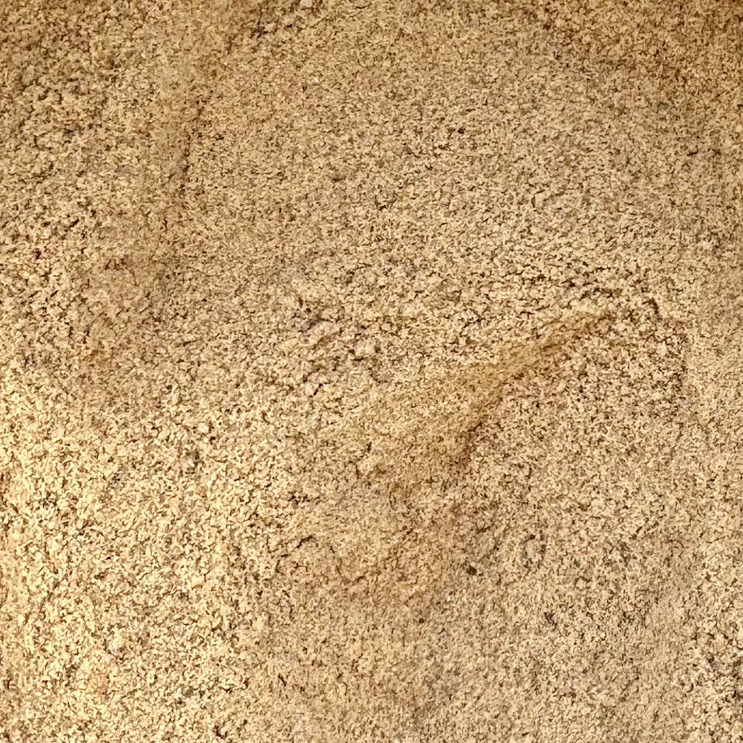 Bierhefe - natürliche Vitamin-B-Quelle