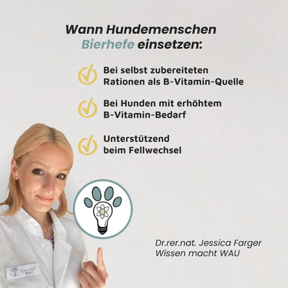 Bierhefe - natürliche Vitamin-B-Quelle