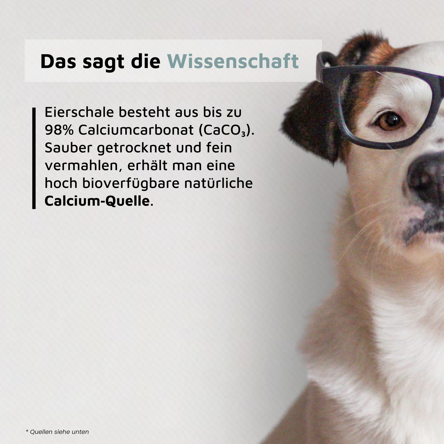Eierschalenpulver - Natürliche Calciumquelle