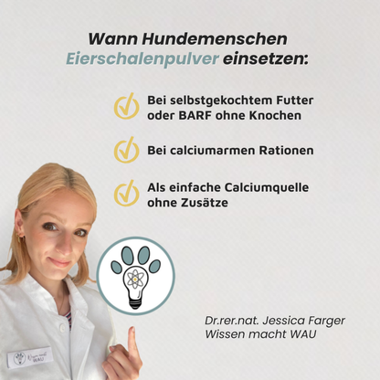 Eierschalenpulver - Natürliche Calciumquelle