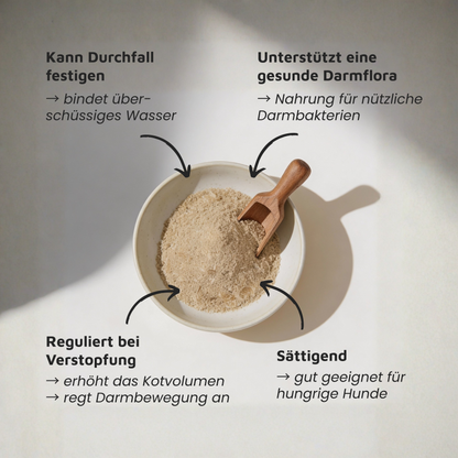 Flohsamenschalen - Regulierende Ballaststoffe