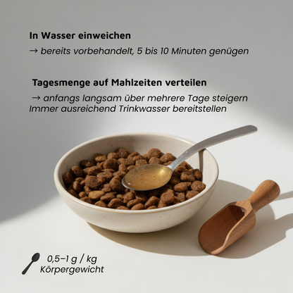 Flohsamenschalen - Regulierende Ballaststoffe