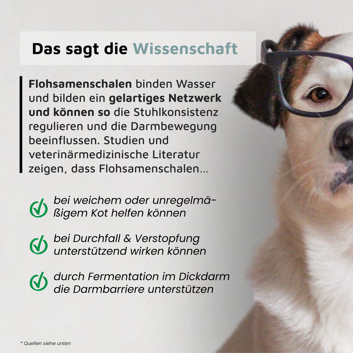 Flohsamenschalen - Regulierende Ballaststoffe
