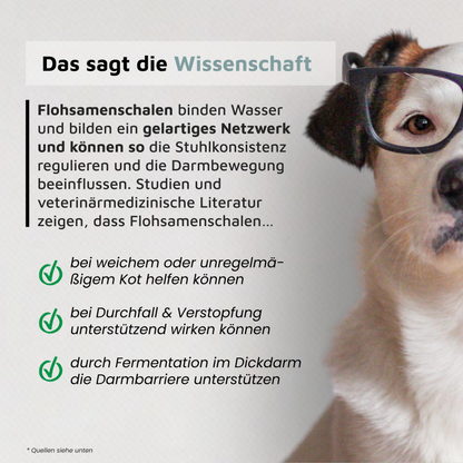 Flohsamenschalen - Regulierende Ballaststoffe