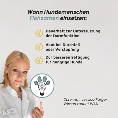 Flohsamenschalen - Regulierende Ballaststoffe