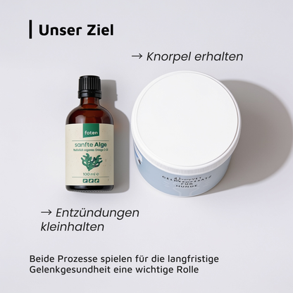 Gelenk-Duo · Alge