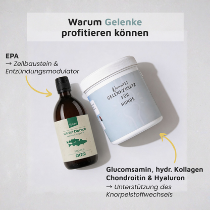 Gelenk-Duo · Dorsch