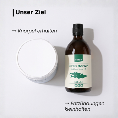 Gelenk-Duo · Dorsch