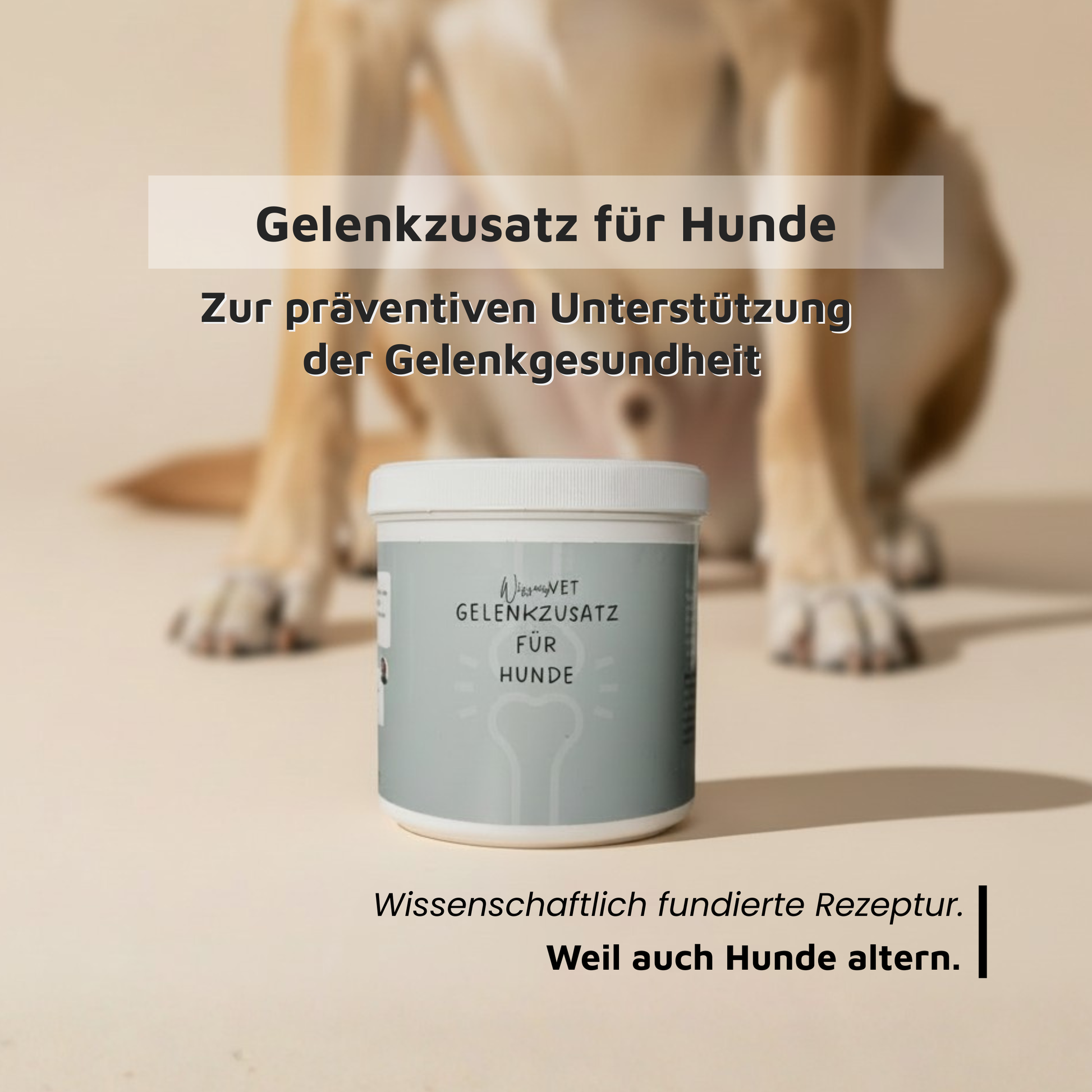 WissensVet Gelenkzusatz 350g und 125g – Gelenkpulver für Hunde