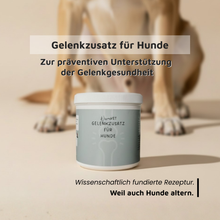 WissensVet Gelenkzusatz 350g und 125g – Gelenkpulver für Hunde