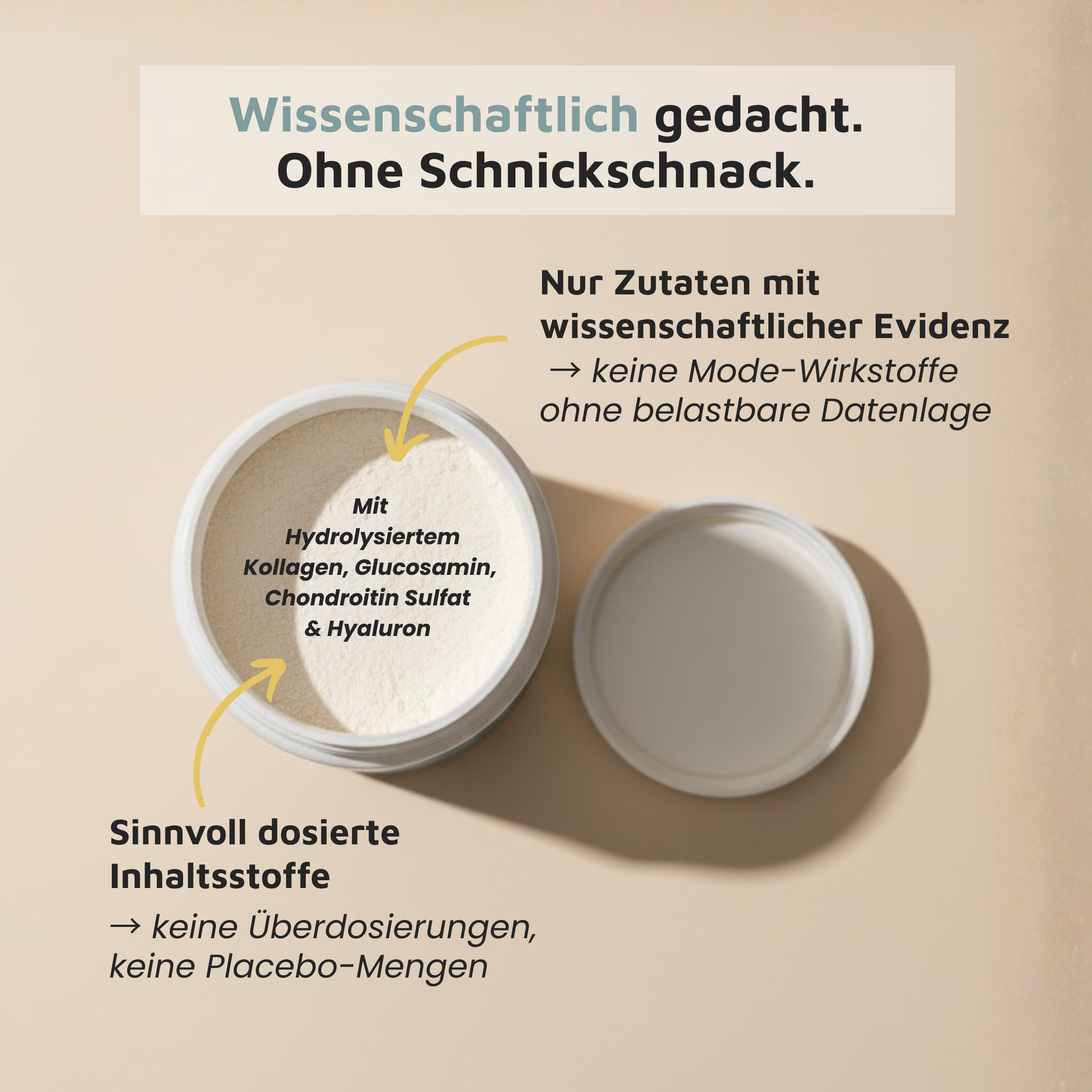 WissensVet Gelenkzusatz – evidenzbasiertes Gelenkpräparat für Hunde von Dr. Jessi Farger