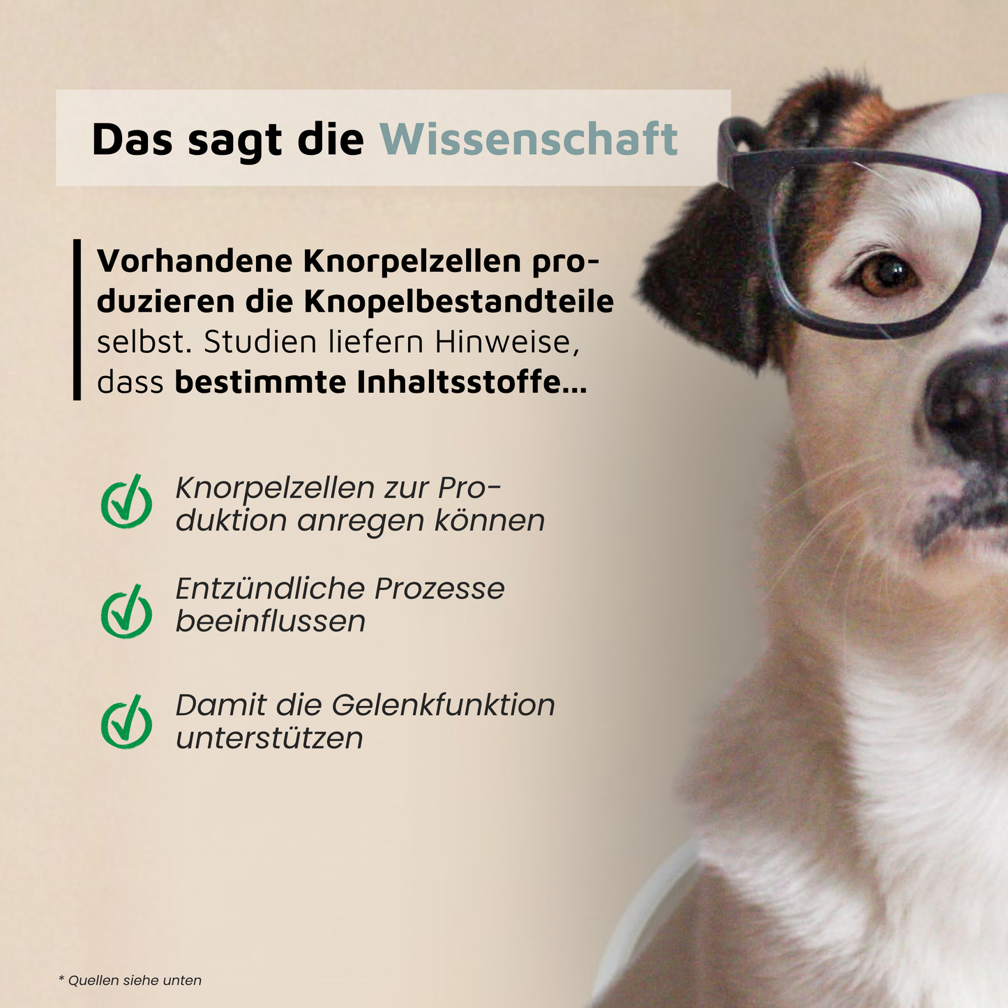 WissensVet Gelenkzusatz – evidenzbasiertes Gelenkpräparat für Hunde von Dr. Jessi Farger