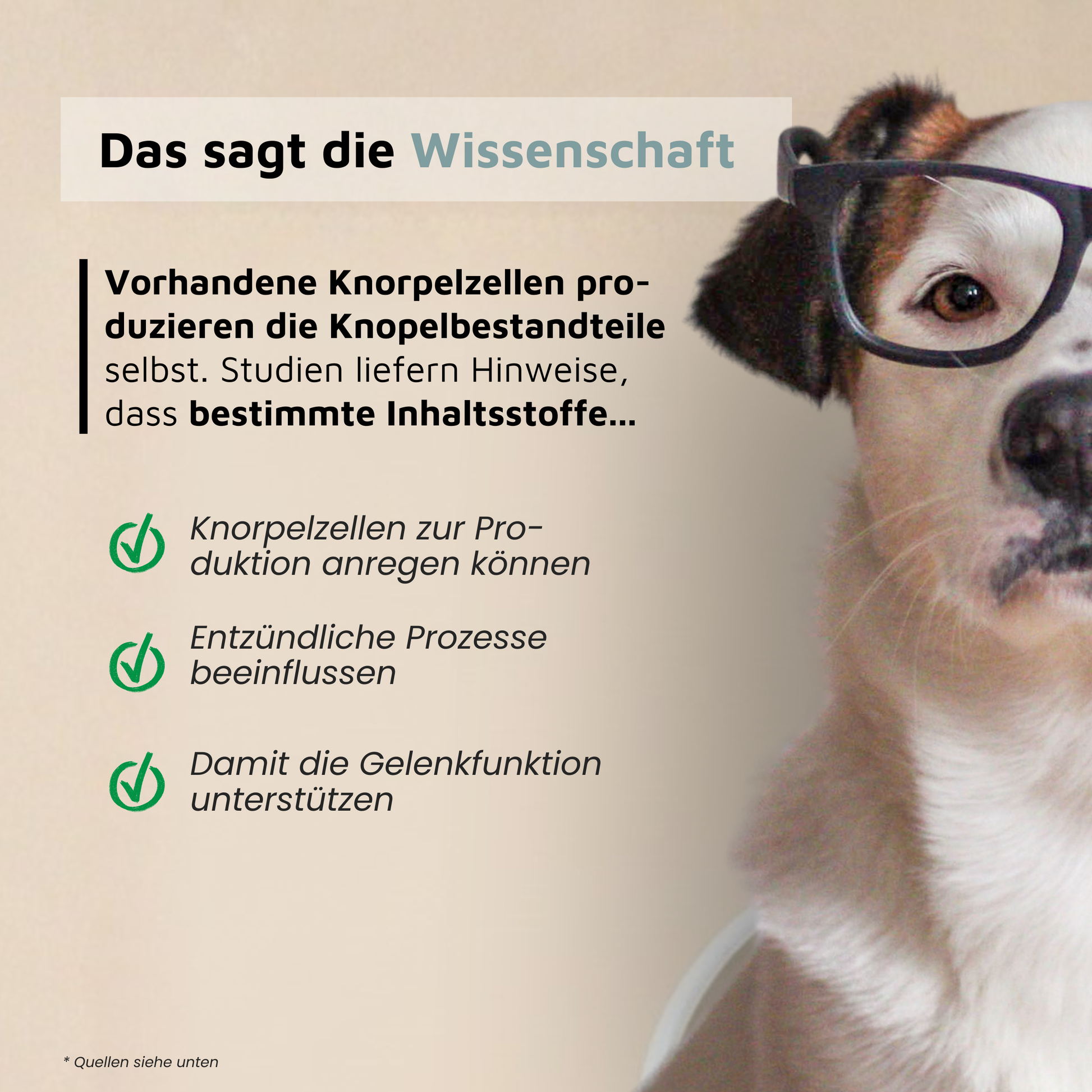 WissensVet Gelenkzusatz – evidenzbasiertes Gelenkpräparat für Hunde von Dr. Jessi Farger