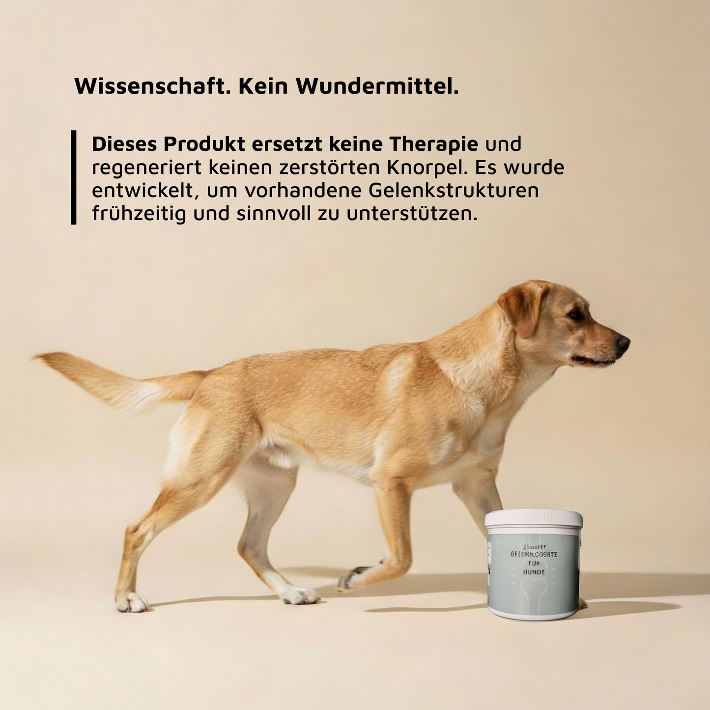 WissensVet Gelenkzusatz – evidenzbasiertes Gelenkpräparat für Hunde von Dr. Jessi Farger