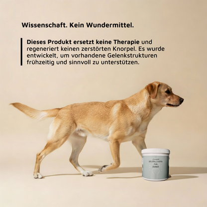 WissensVet Gelenkzusatz – evidenzbasiertes Gelenkpräparat für Hunde von Dr. Jessi Farger