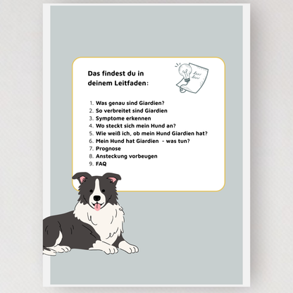 Giardien beim Hund - dein Leitfaden
