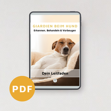 Giardien beim Hund - dein Leitfaden