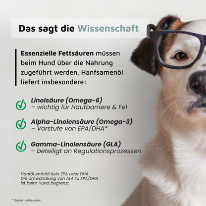 Hanföl - Omega-6 & 3 aus kaltgepresstem Hanf