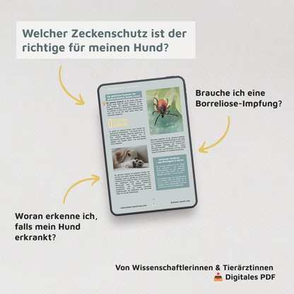 WMW Das Magazin - Zecken Grundlagen