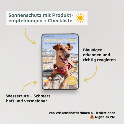 WMW Das Magazin - Sommerausgabe