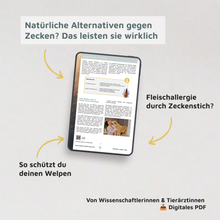 WMW Das Magazin - Zecken Spezial 2.0 (Aktuelle Ausgabe)