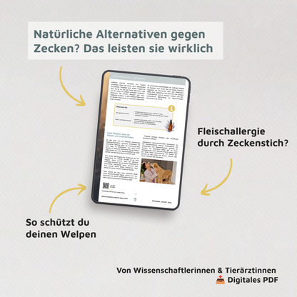 WMW Das Magazin - Zecken Spezial 2.0 (Aktuelle Ausgabe)