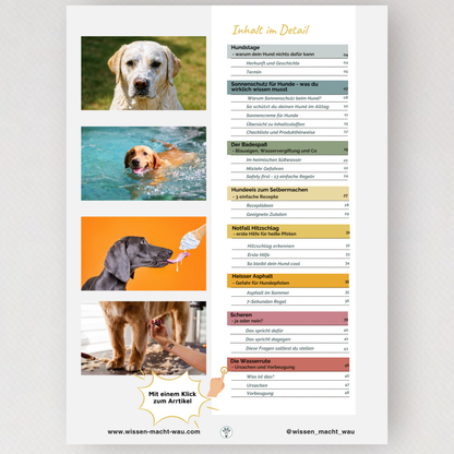 WMW Das Magazin - Sommerausgabe