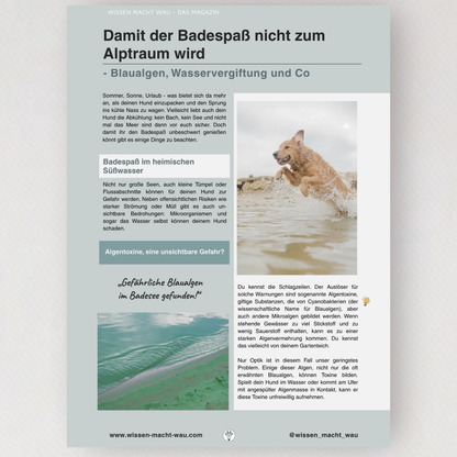 WMW Das Magazin - Sommerausgabe