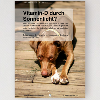 WMW Das Magazin - Sommerausgabe