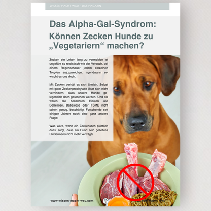 WMW Das Magazin - Zecken Spezial 2.0 (Aktuelle Ausgabe)