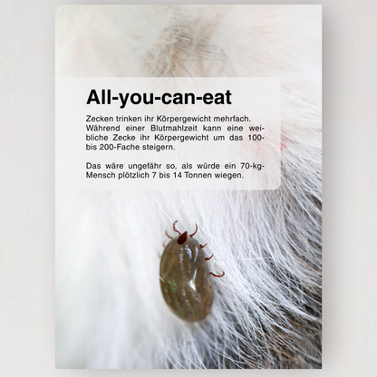 WMW Das Magazin - Zecken Spezial 2.0 (Aktuelle Ausgabe)