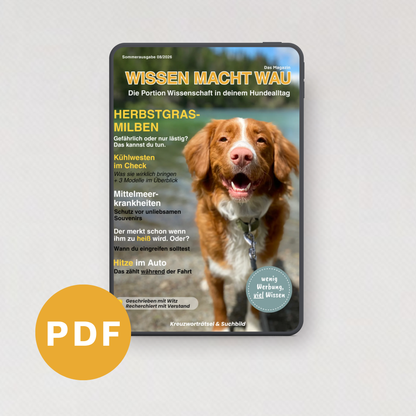 WMW Das Magazin - Ausgabe 08/26 (Aktuelle Ausgabe)