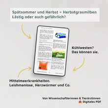 WMW Das Magazin - Ausgabe 08/26 (Aktuelle Ausgabe)
